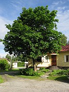 IMG_7268