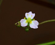 IMG_1900
