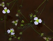 IMG_1901
