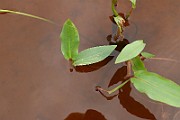 IMG_1904