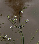 IMG_1930
