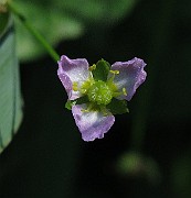 IMG_8737