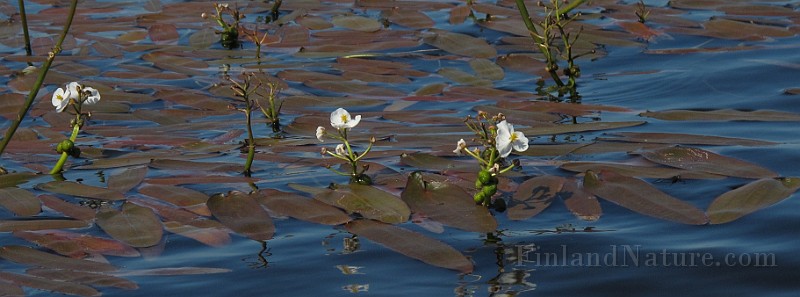 IMG_8768.JPG