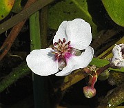 IMG_7702