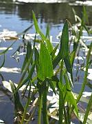 IMG_7710