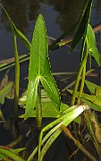 IMG_7711