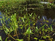 IMG_7715