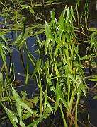 IMG_7715b