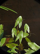 IMG_7717