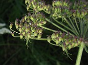 IMG_4791