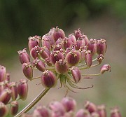 IMG_9307