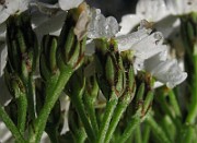 IMG_7943