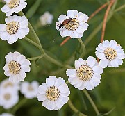 IMG_0780