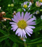 IMG_5847