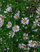 IMG_5848