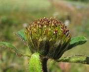 IMG_9861