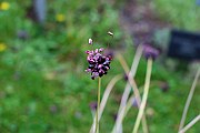 IMG_6893