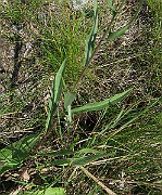 IMG_0095