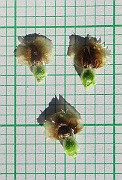 IMG_4310b