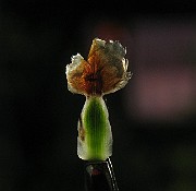 IMG_4315