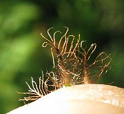 IMG_3366