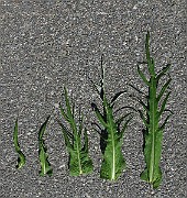 IMG_6228