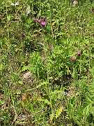 IMG_3627