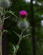 IMG_6880