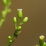 IMG_1741