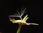 IMG_3837