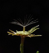 IMG_3838