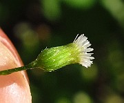 IMG_3842