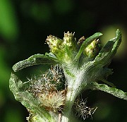 IMG_3860