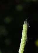 IMG_3863