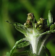 IMG_3865