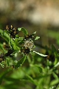 IMG_9548