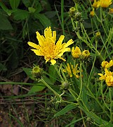 IMG_3756