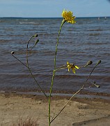 IMG_9943