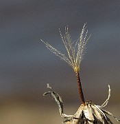 IMG_9952
