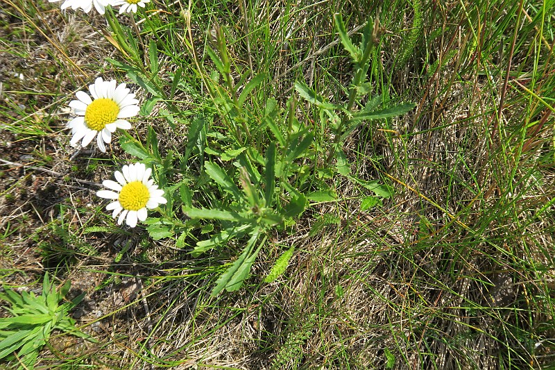 IMG_0088.JPG