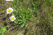 IMG_0088