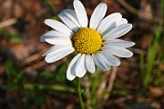 IMG_1295