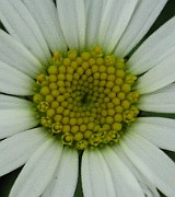IMG_3237