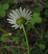IMG_3238