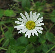 IMG_3241