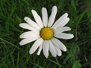 IMG_3751