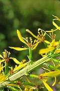 IMG_1888
