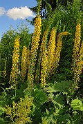 IMG_1892