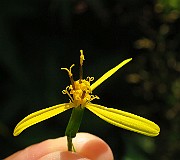IMG_1893