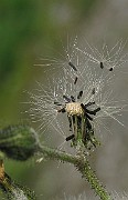 IMG_3395